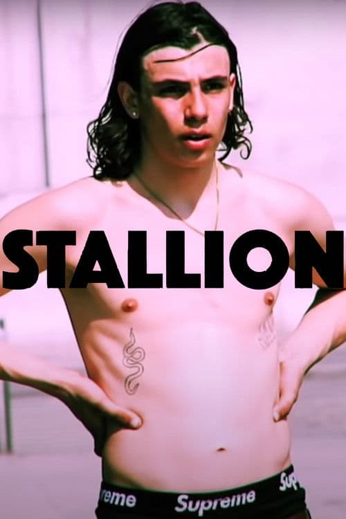 STALLION poster