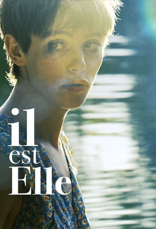 Il est Elle poster