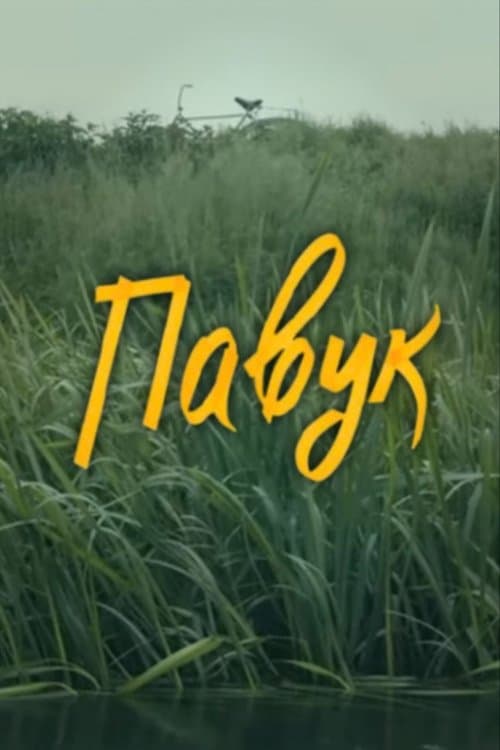 DZIDZIO: The Spider poster