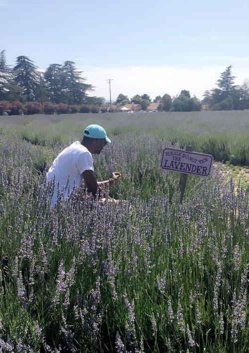 The Forfeiture Clause poster