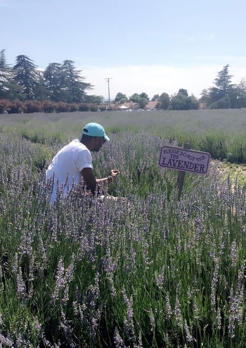 The Forfeiture Clause poster