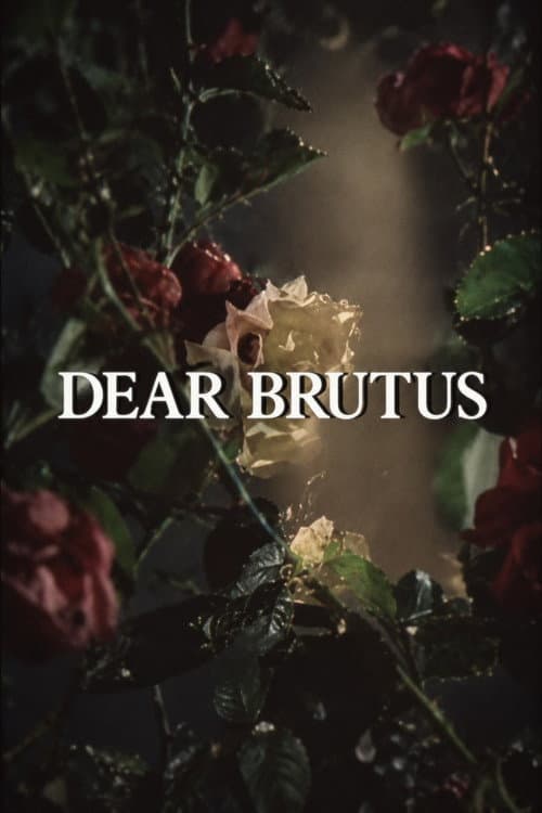 Dear Brutus poster