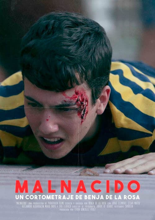Malnacido poster