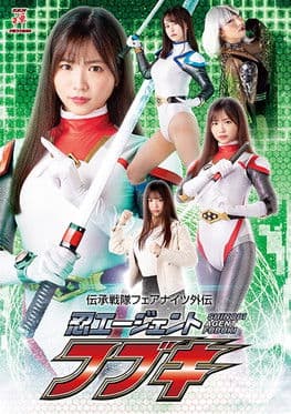 伝承戦隊フェアナイツ外伝 忍エージェント フブキ poster