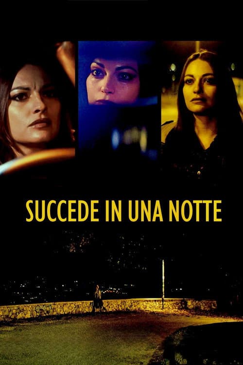 Succede in una notte poster