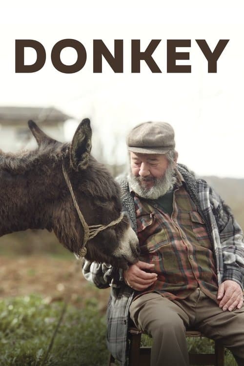 Donkey poster