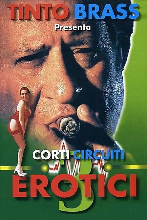 Erotic Short Circuits Vol.3 poster