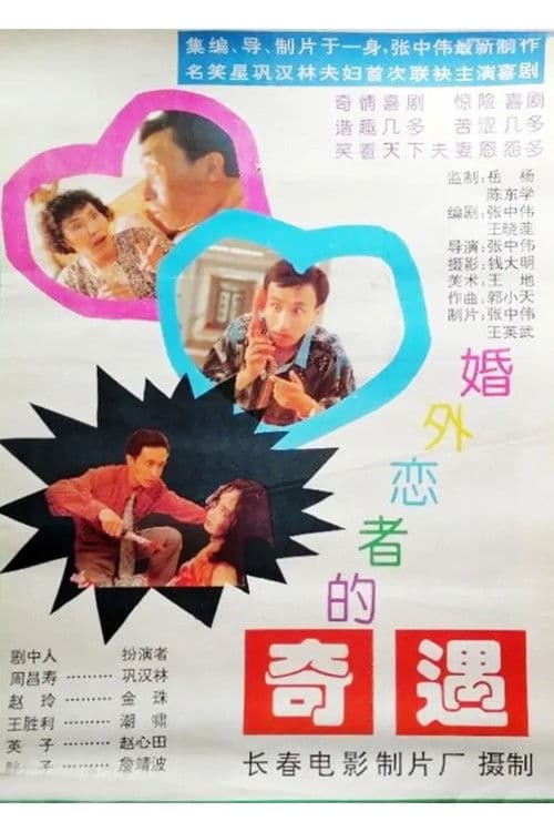 婚外恋者的奇遇 poster