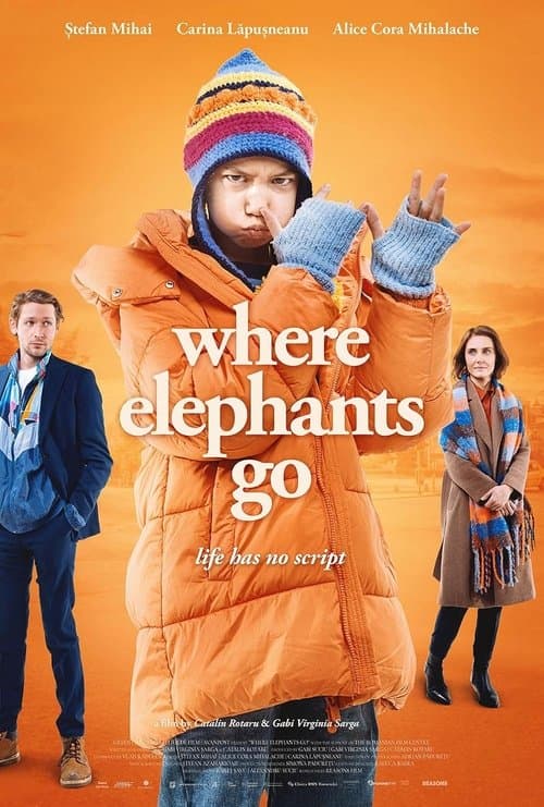 Where Elephants Go poster