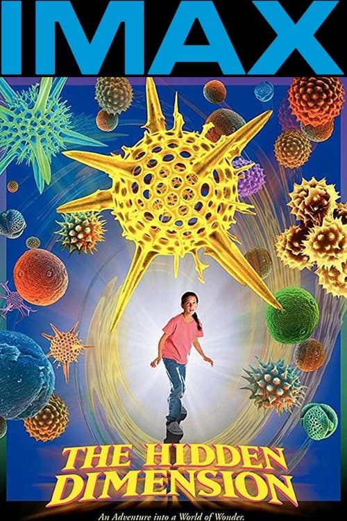 The Hidden Dimension poster