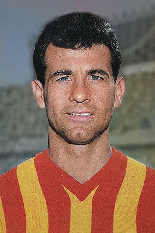 Metin Oktay profile photo
