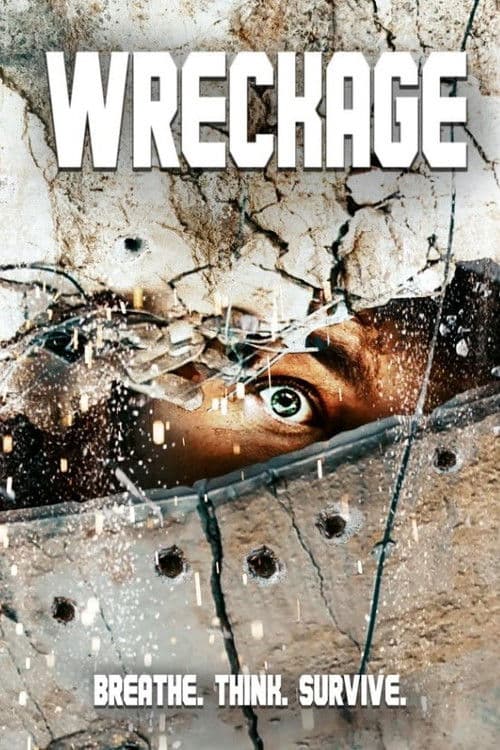 Wreckage poster