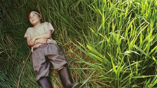 A River in the Woods poster