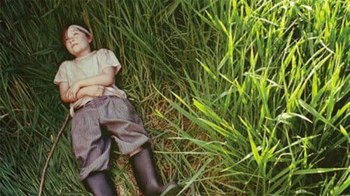 A River in the Woods poster