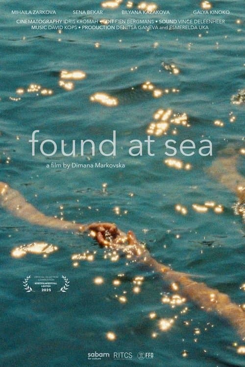 Found at sea poster
