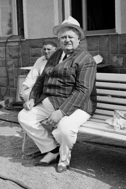 József Szendrő profile photo