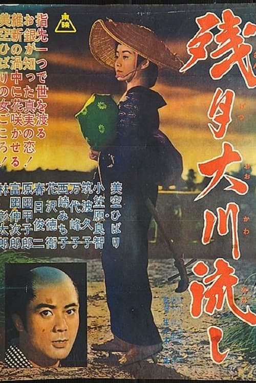 River Washes Away the Moon poster