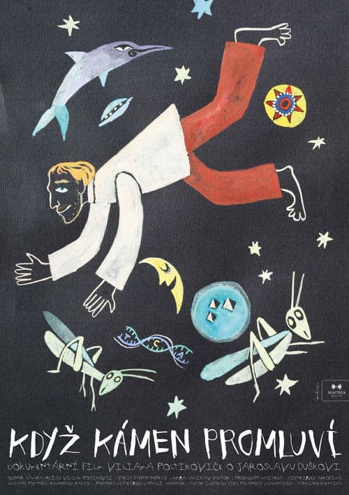 Když kámen promluví poster