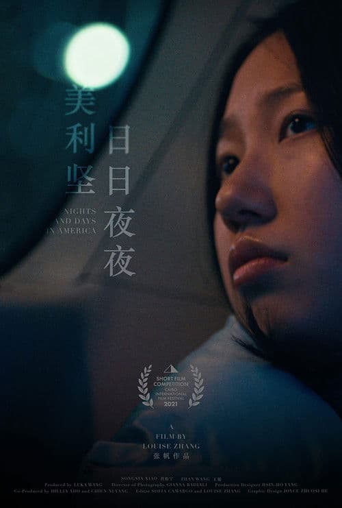 Nights and Days in America poster