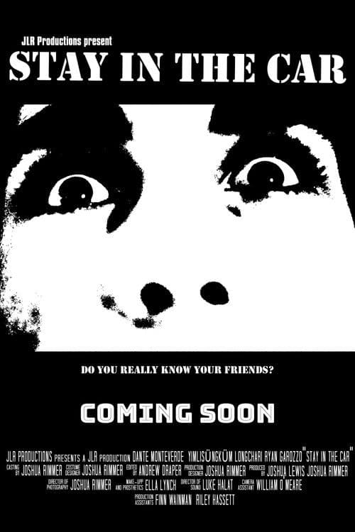 Stay in the Car poster