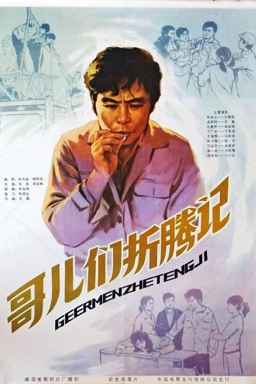 哥们儿折腾记 poster