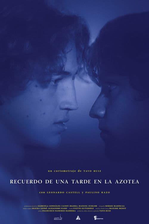 Memory of an Afternoon on the Roof poster