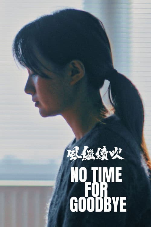 No Time For Goodbye poster