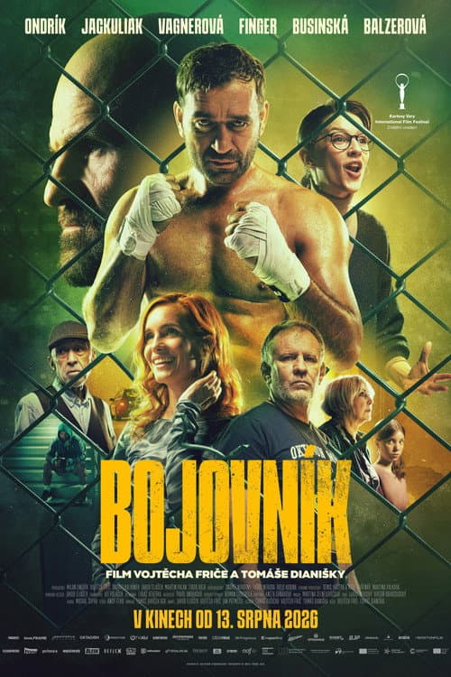 Fighter poster