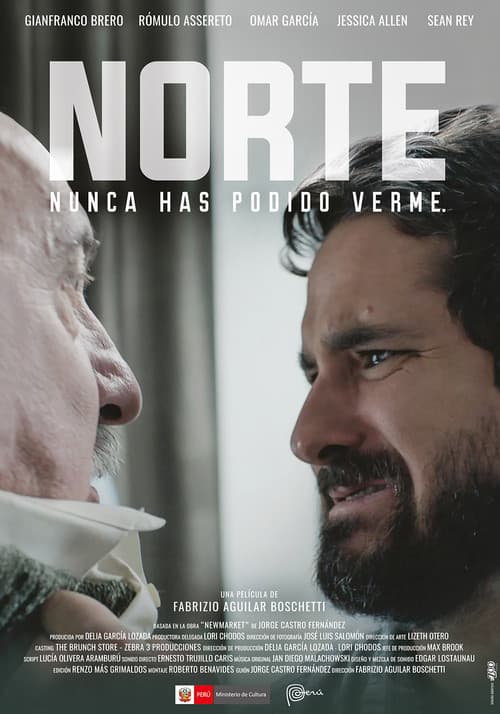 Norte poster