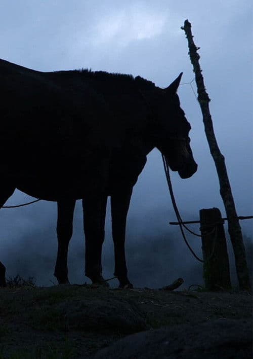 Every egg has a corner poster