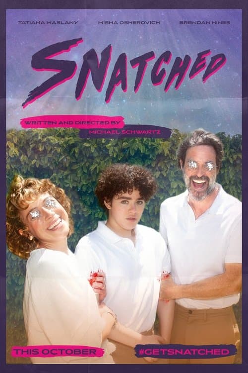 Snatched poster