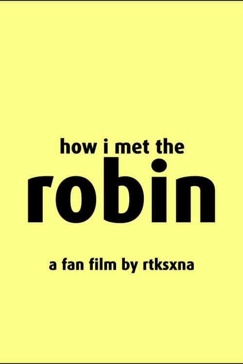 How I Met The Robin poster