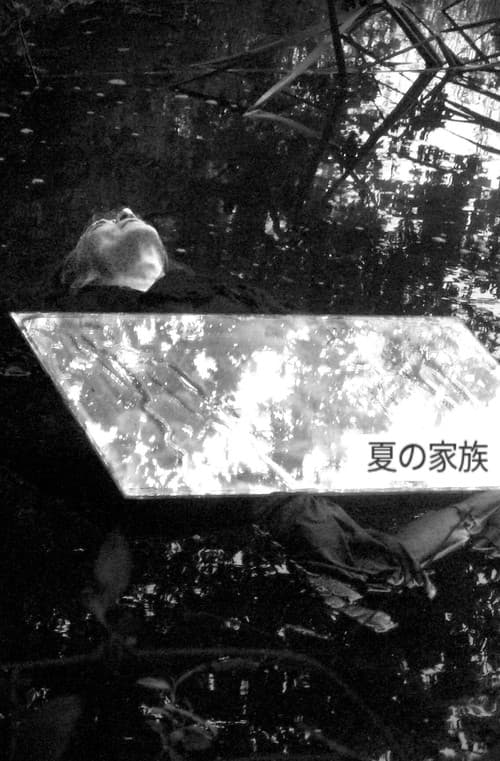 A Summer Family poster