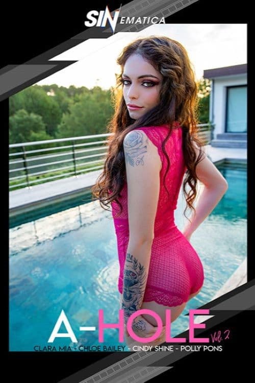 A-Hole Vol. 2 poster