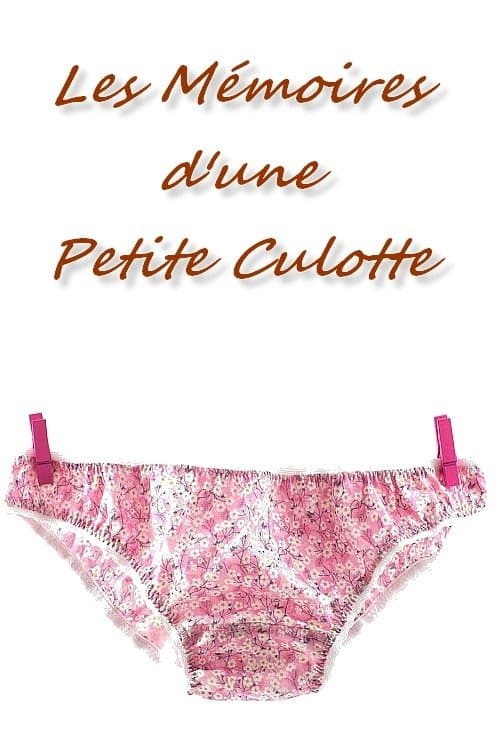 Les Mémoires d'une petite culotte poster