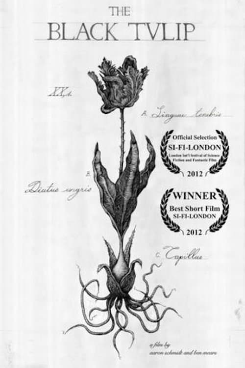 The Black Tulip poster