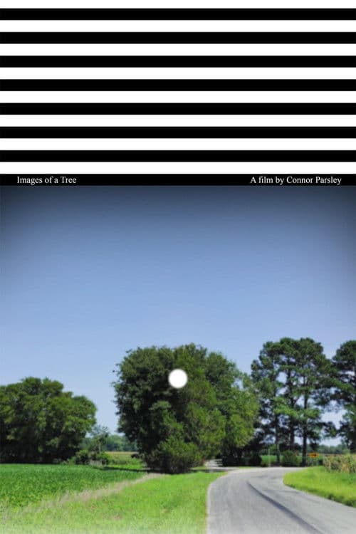 Images of a Tree poster