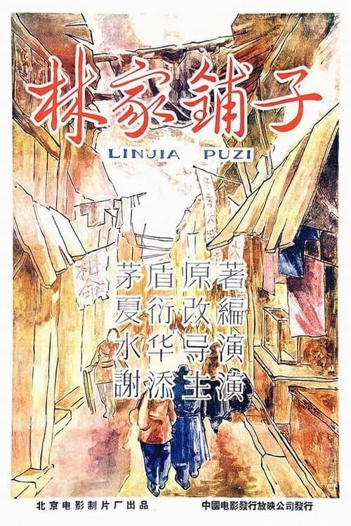 The Lin Family Shop poster