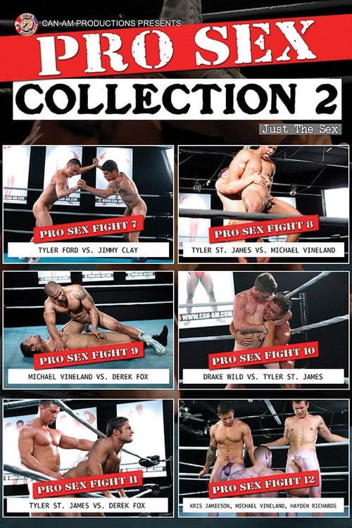 PRO SEX COLLECTION 2 poster