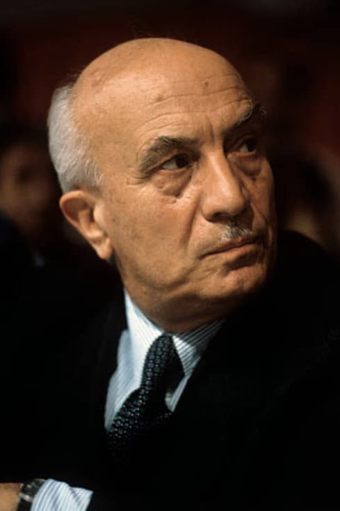 Amintore Fanfani profile photo