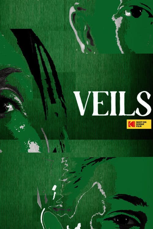VEILS poster