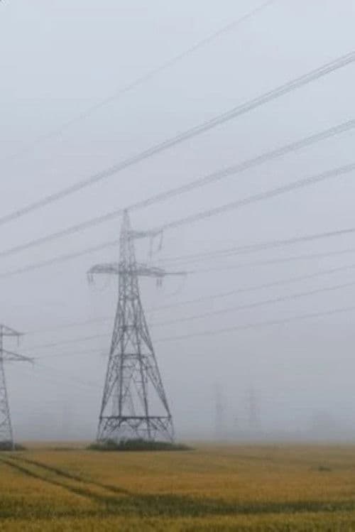 Invasive Species poster