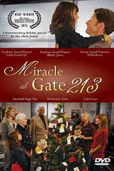 Miracle at Gate 213 poster