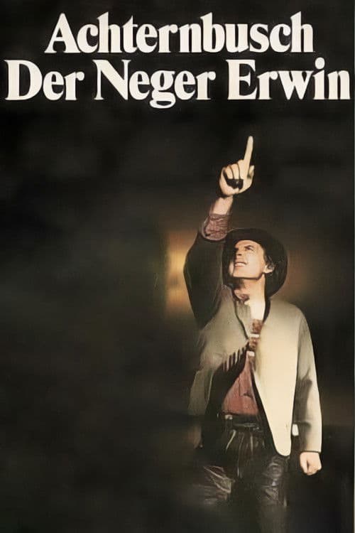 Der Neger Erwin poster