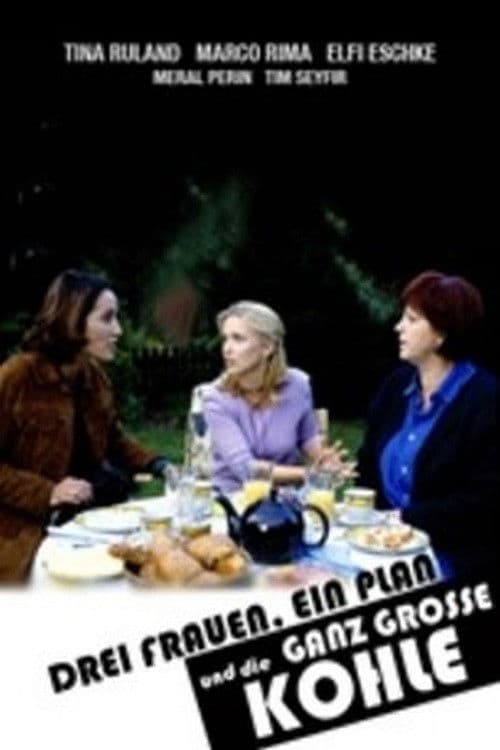 Drei Frauen, ein Plan und die ganz große Kohle poster