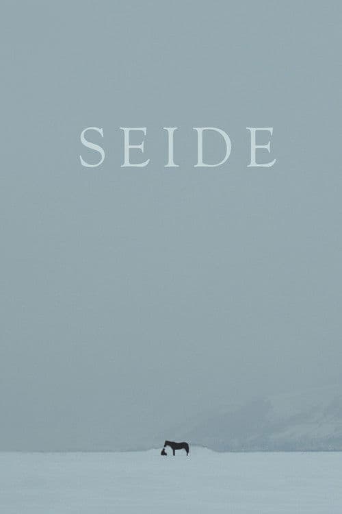 Seide poster