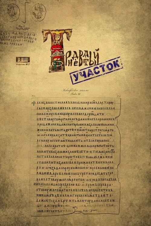 Тридевятый участок poster