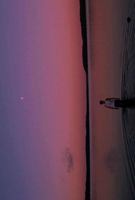 THE WATERS (his) poster