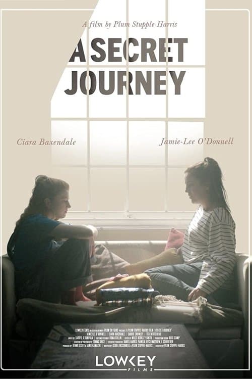 A Secret Journey poster