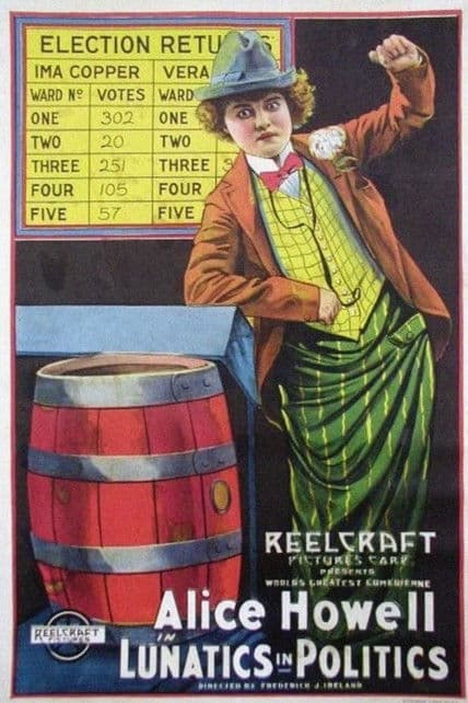 Lunatics in Politics poster